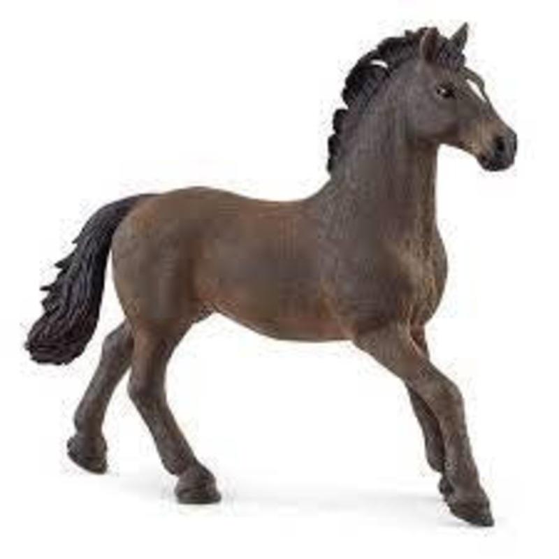 Oldenburger Stallion 13946
