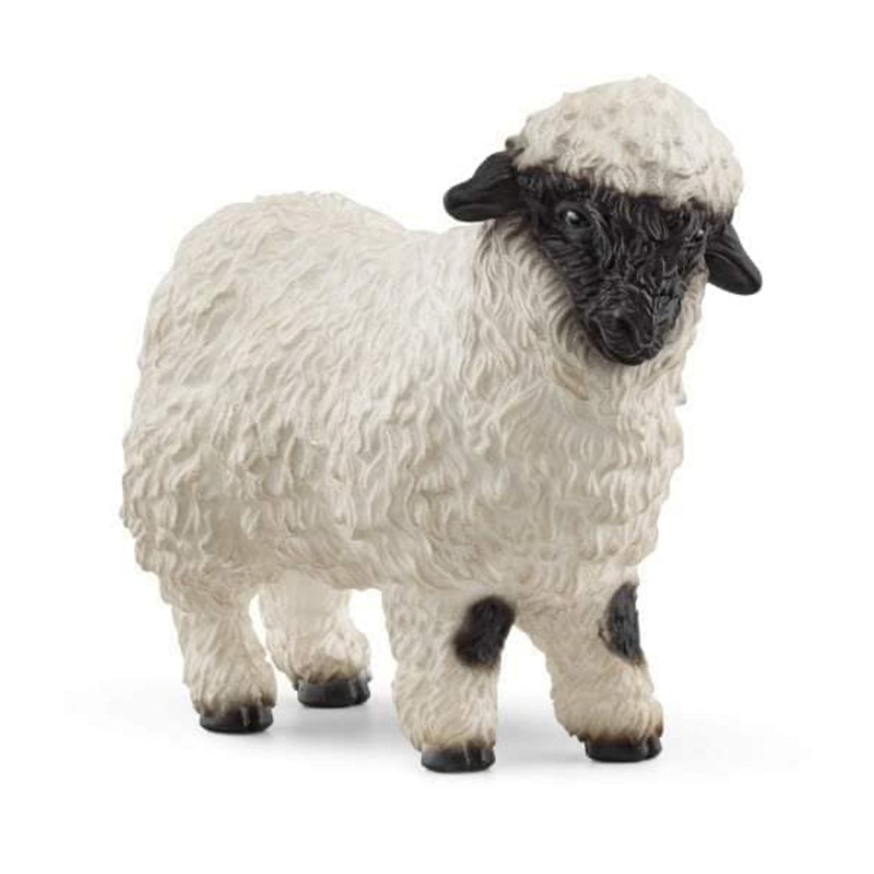 Valais Blacknose Sheep 13965