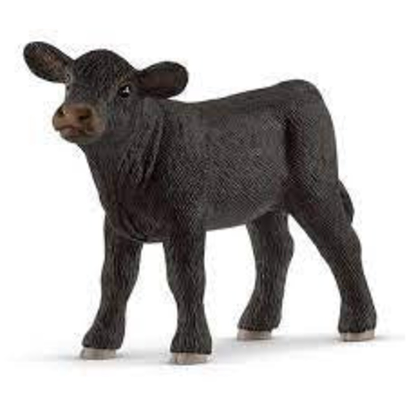 Black Angus Calf 13880