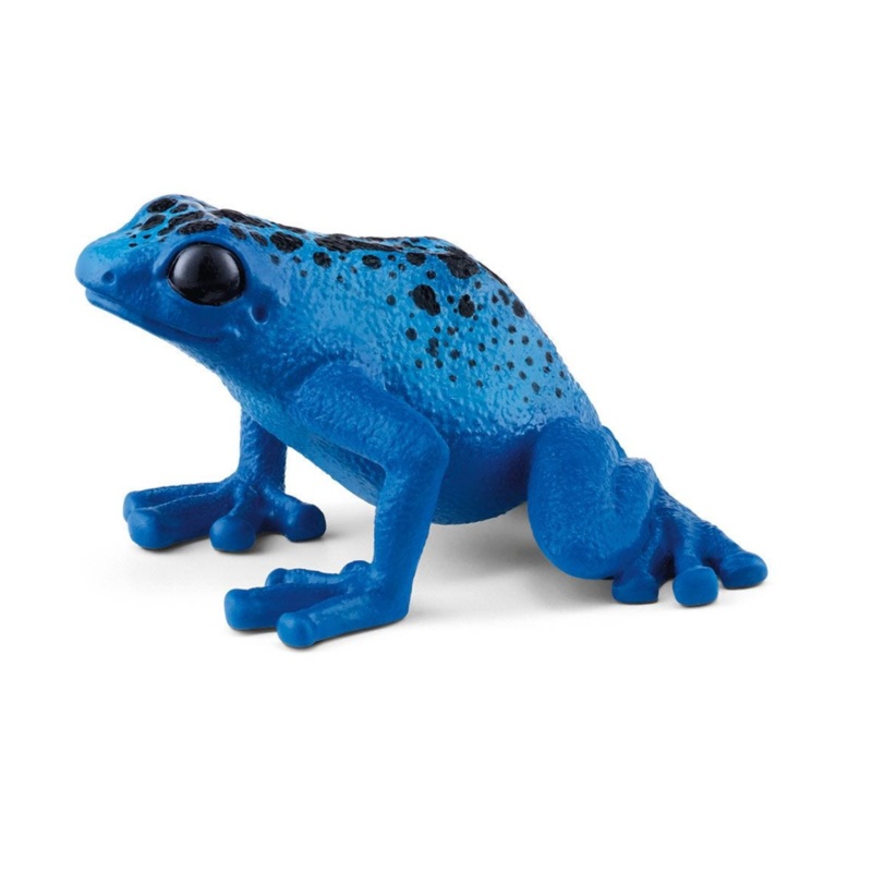 Blue Poison Dart Frog 14864