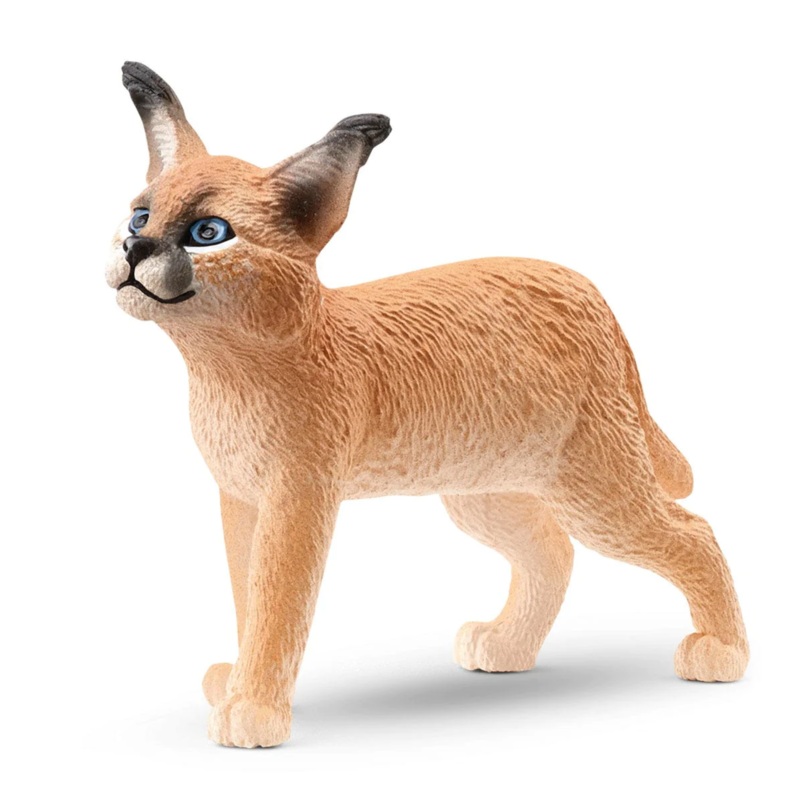 Caracal Baby 14868