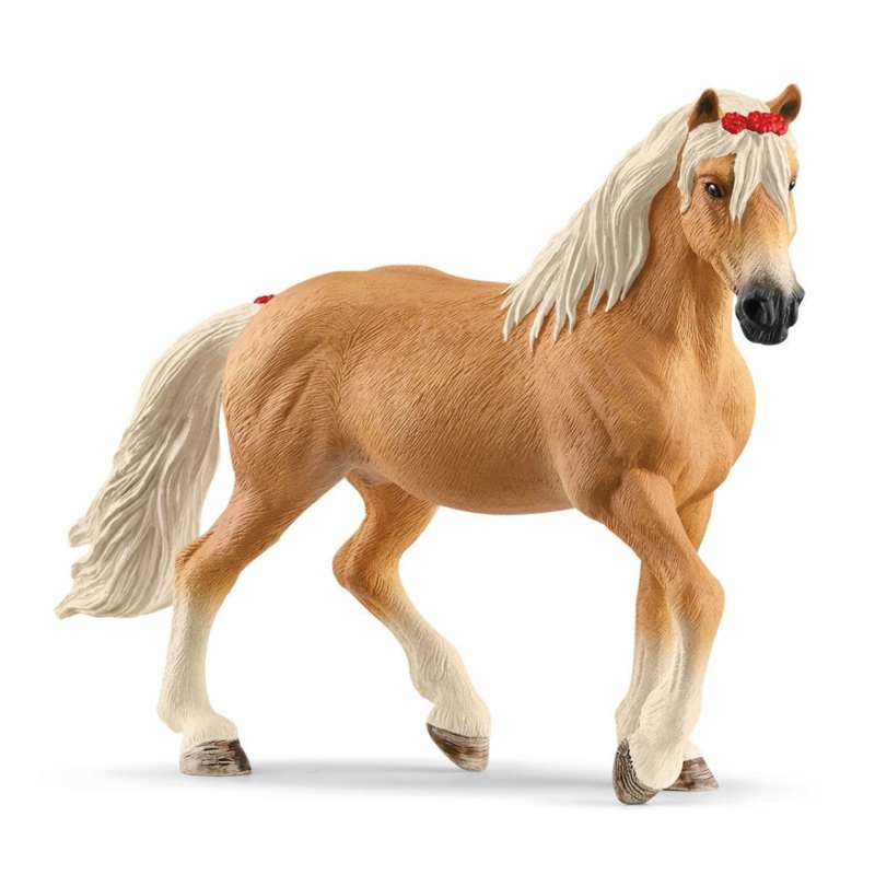 Haflinger Mare 13950