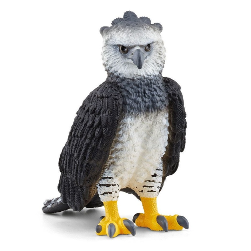 Harpy Eagle 14862