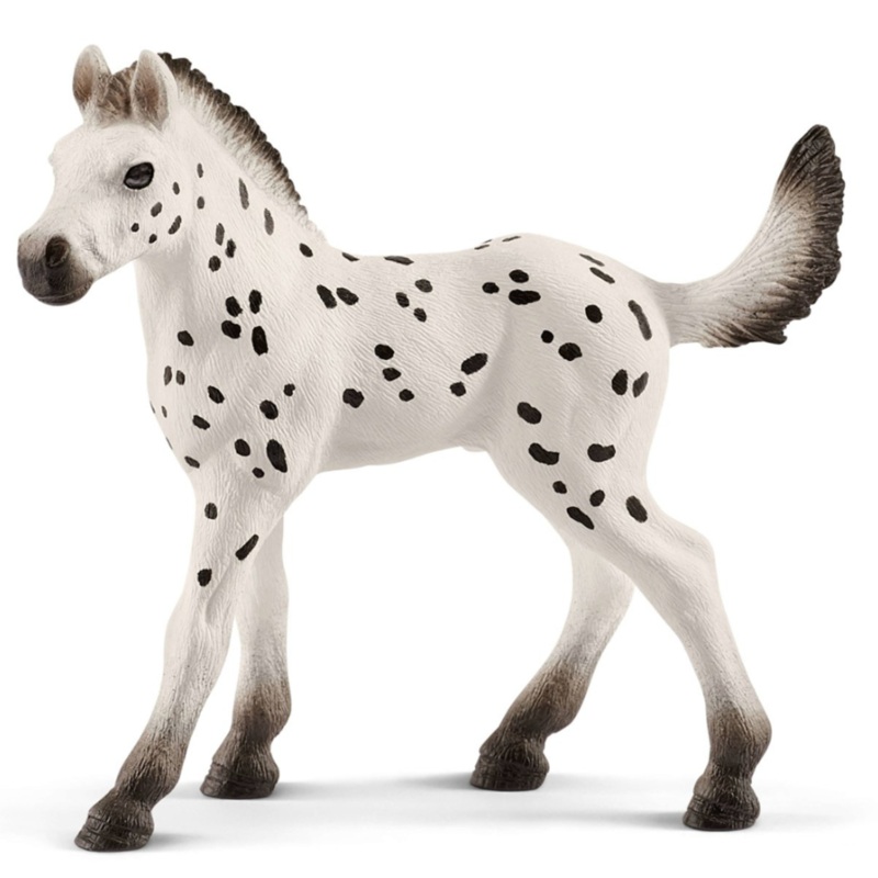 Knabstrupper Foal 13890