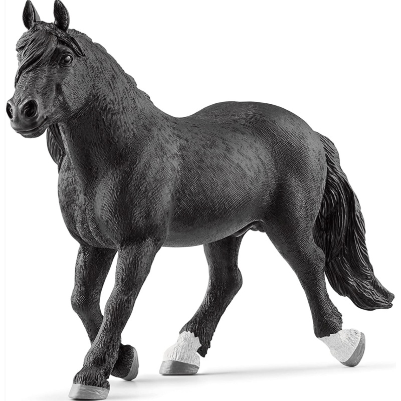 Noriker Stallion 13958
