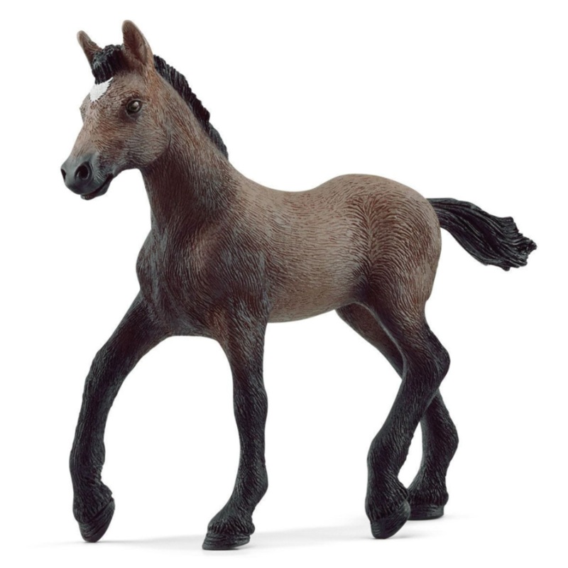 Peruvian Paso Foal 13954