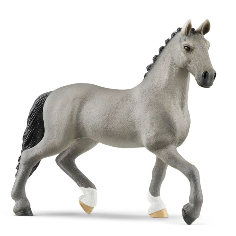 Selle Francais Stallion 13956