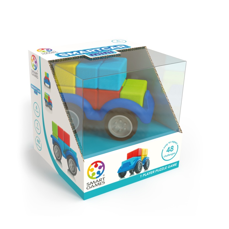 Smart Car Mini