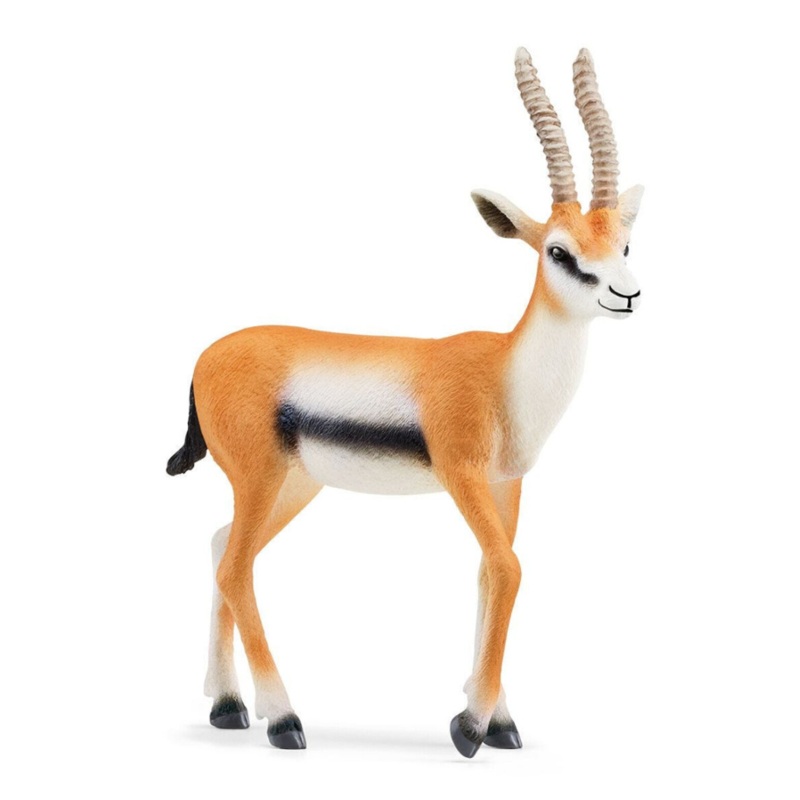 Thomson Gazelle 14861