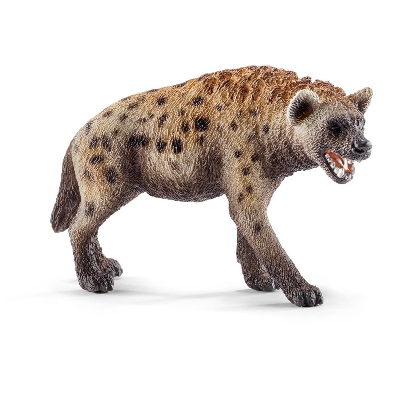 Hyena 14735