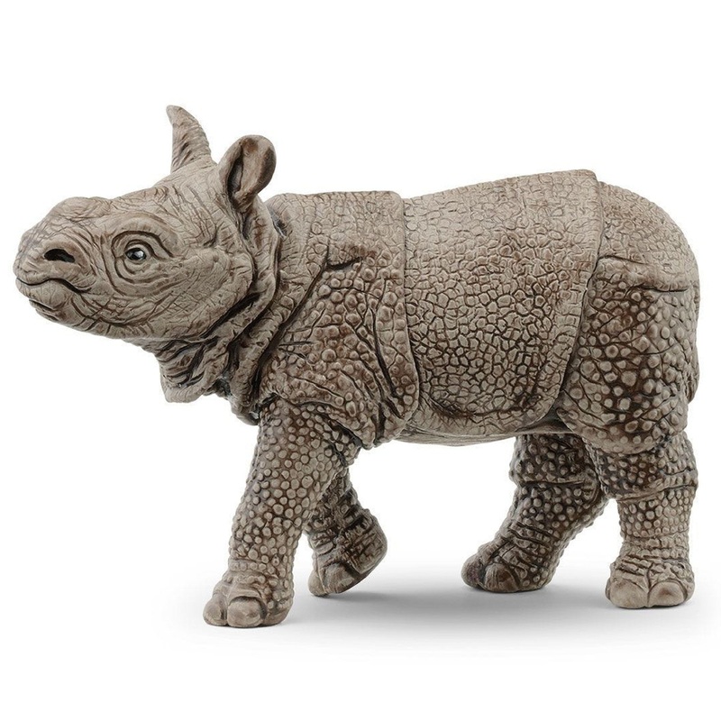 Indian Rhinoceros Baby 14860