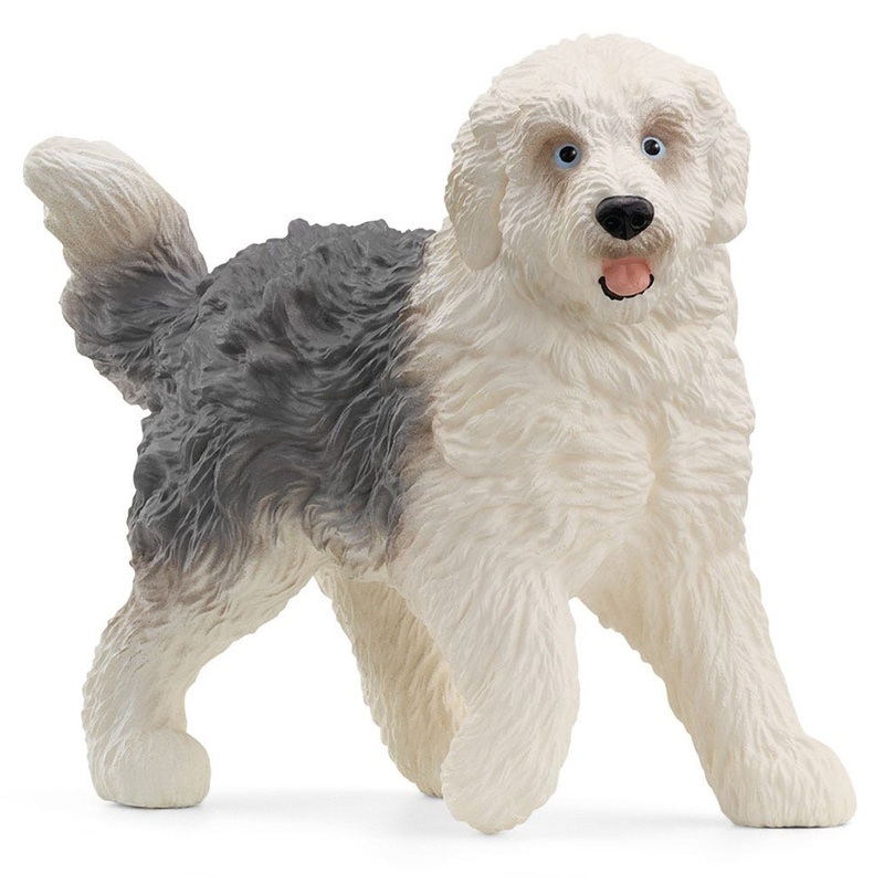 Old English Sheepdog 13968