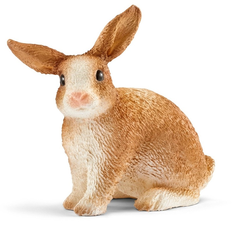 Rabbit 13827 2