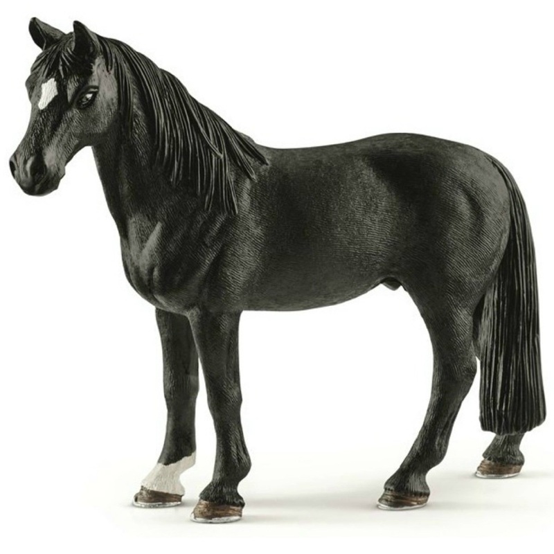 Tennessee Walker Gelding 13832