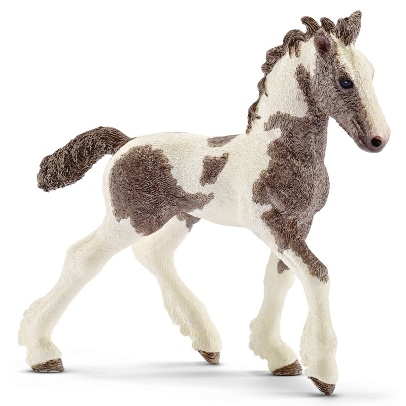 Tinker Foal 13774