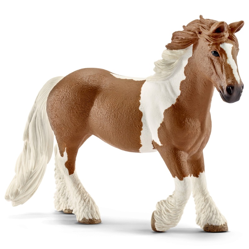 Tinker Mare 13773
