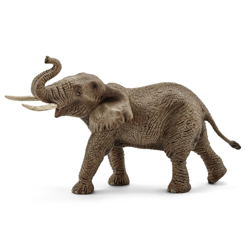 African Elephant Male 14762 2