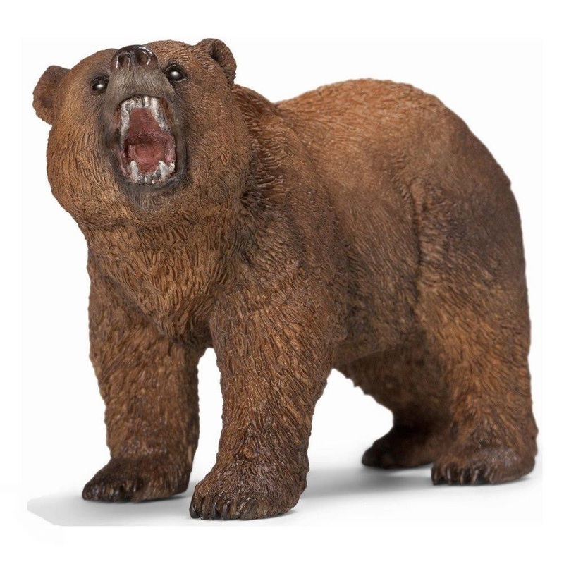 Grizzly Bear 14685