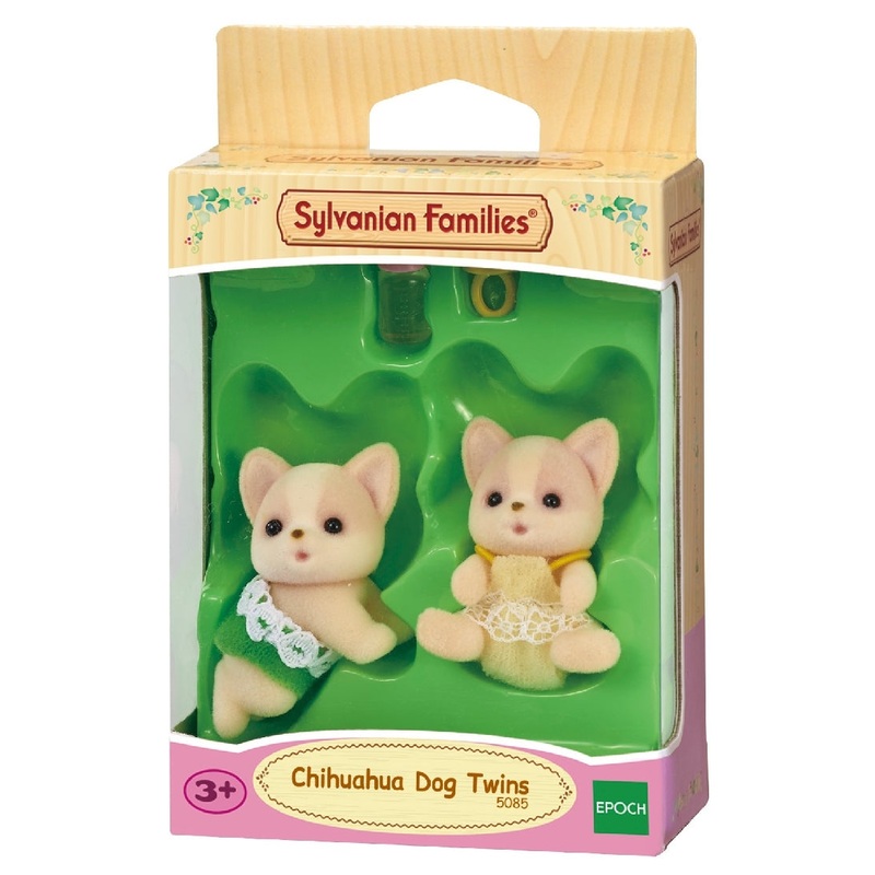 Twins Chihuahua Dog