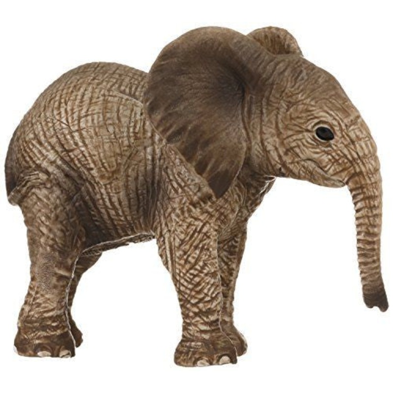 African Elephant Calf 14763
