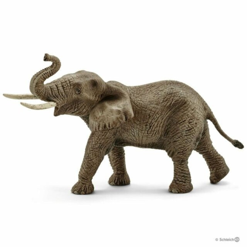 African Elephant Male 14762