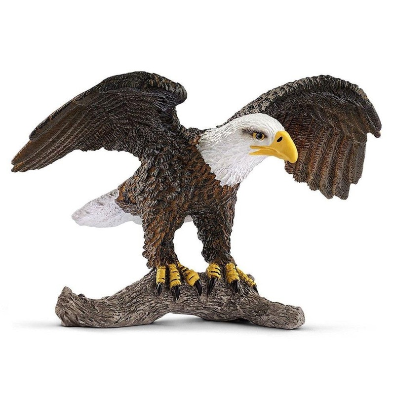 Bald Eagle 14780
