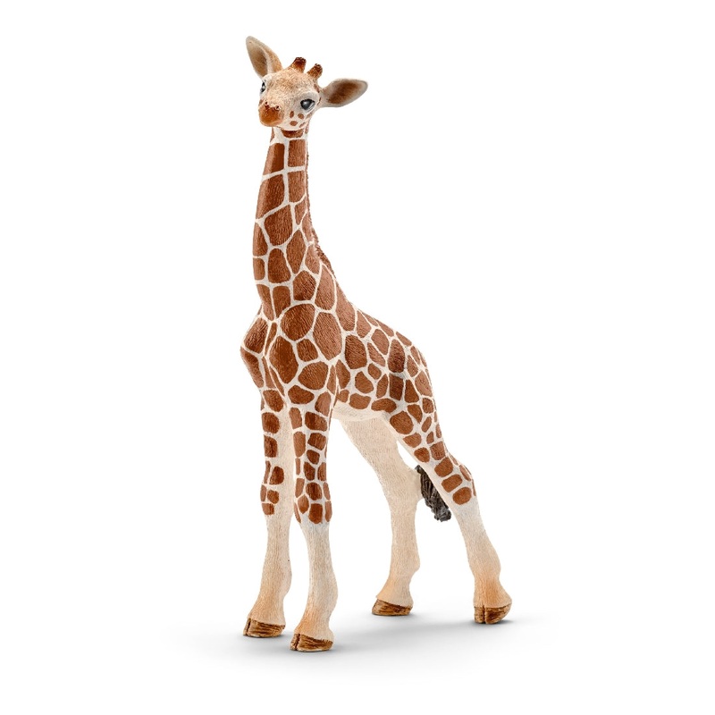 Giraffe Calf 14751