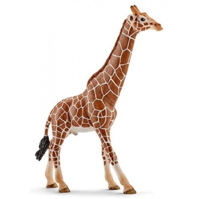 Giraffe Female 14750