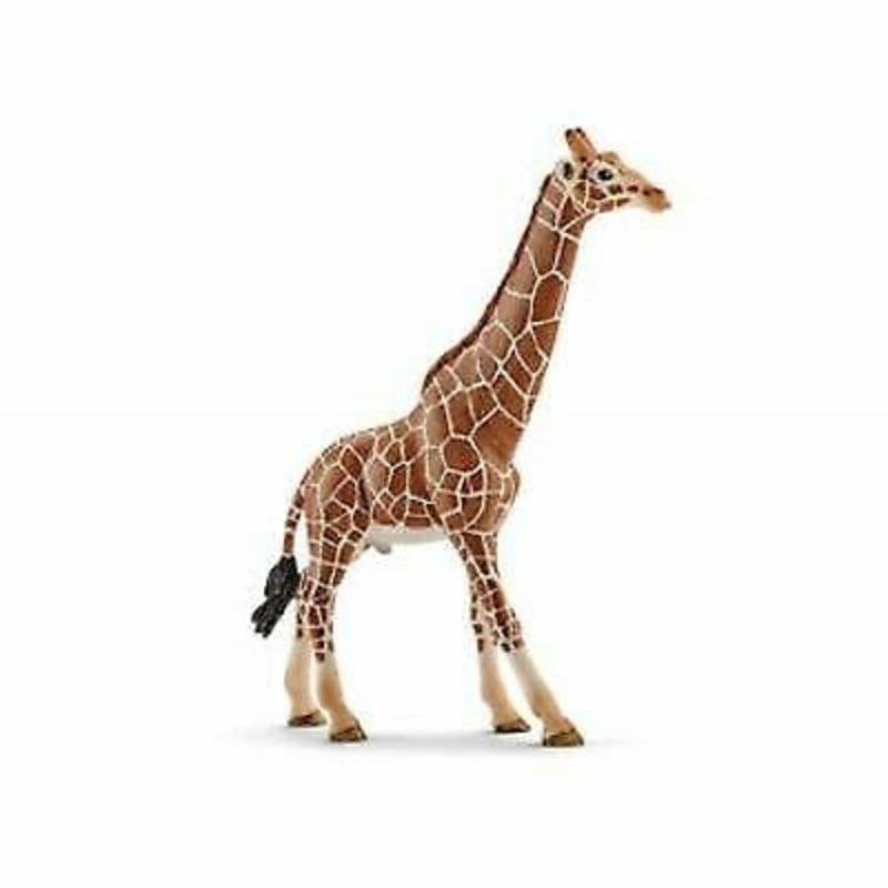 Giraffe Male 14749