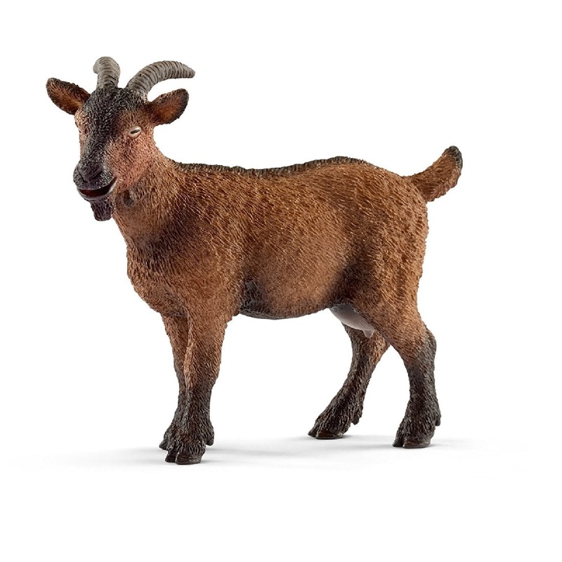 Goat 13828