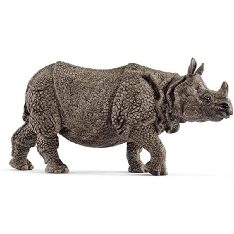 Indian Rhinoceros 14816