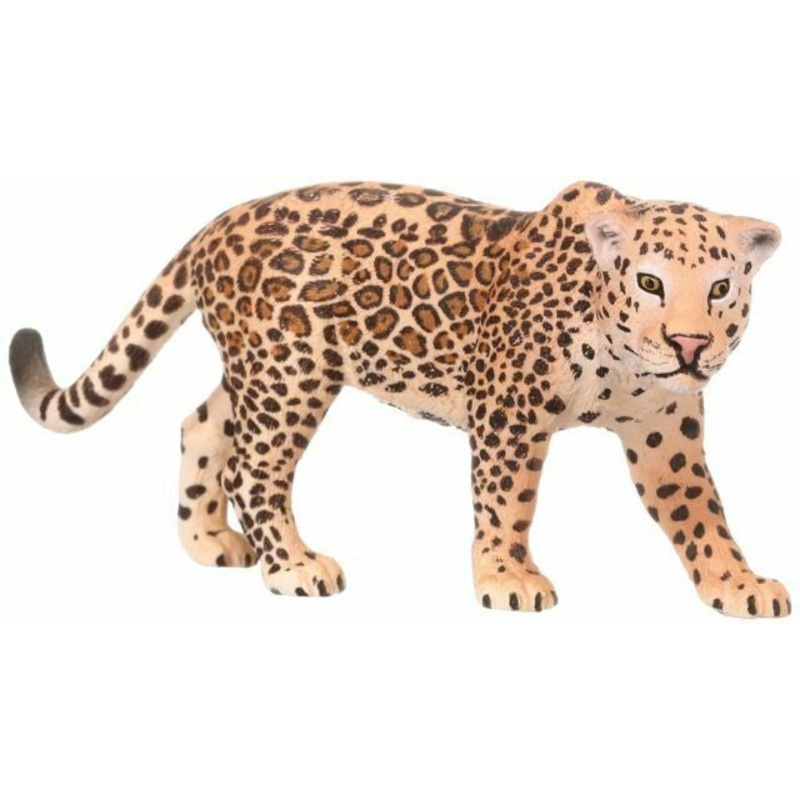 Jaguar 14769