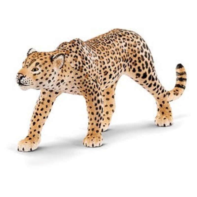 Leopard 14748