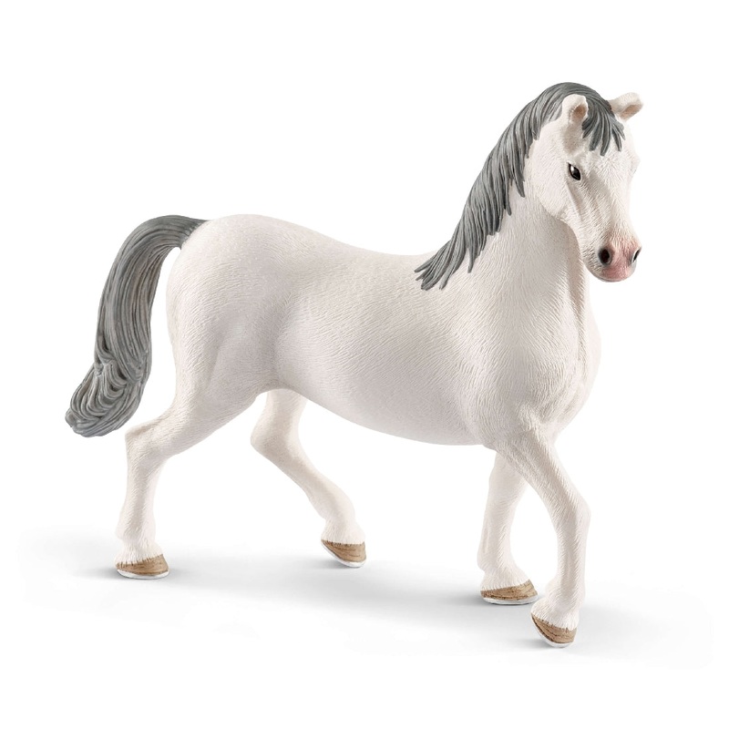 Lipizzaner Stallion 13887