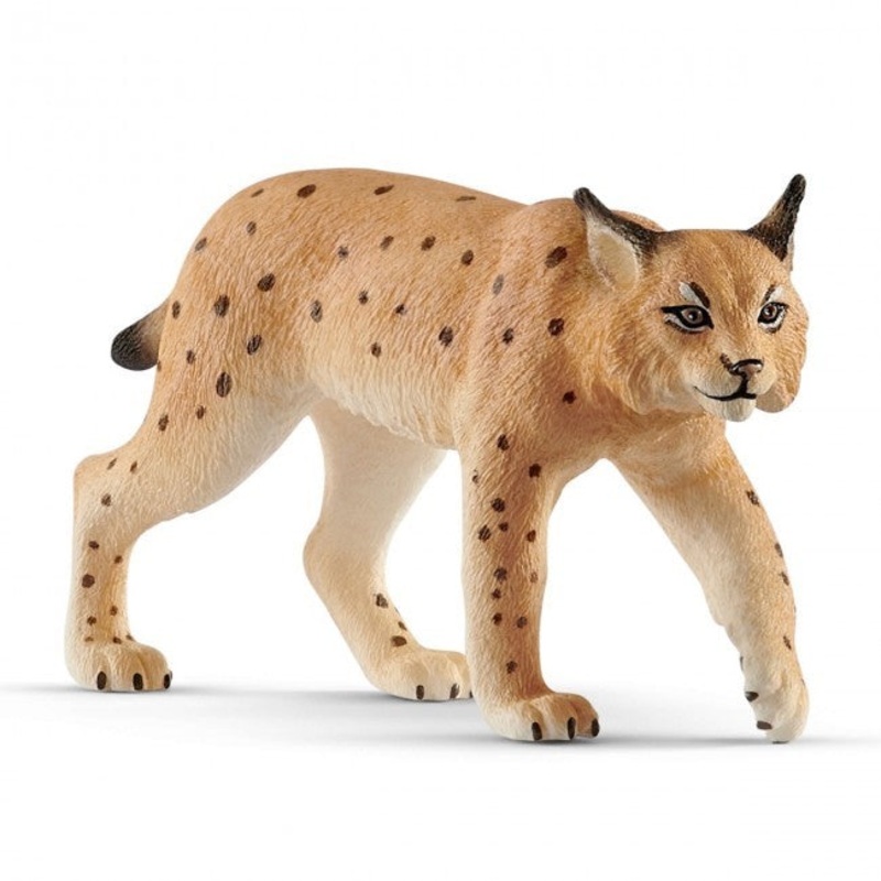 Lynx 14822