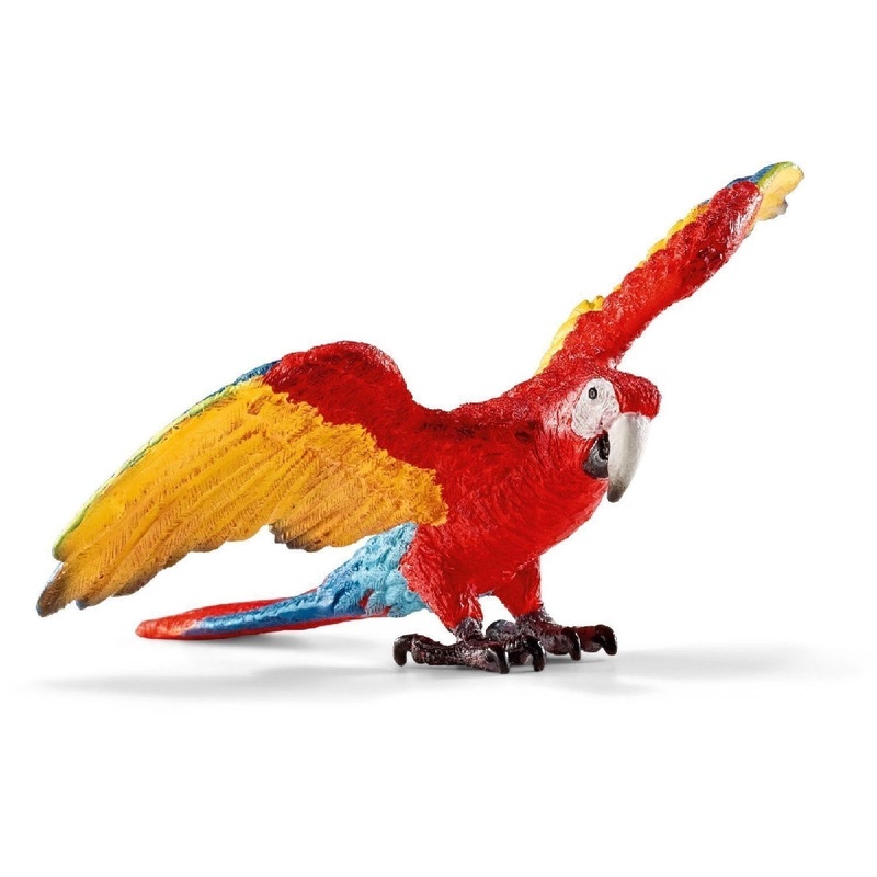 Macaw 14737