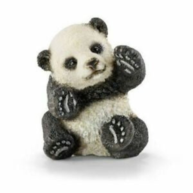Panda Cub Playing 14734