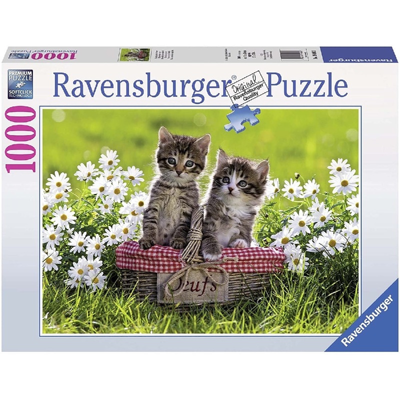 Picnic In The Meadow Puzzle 1000 Pce