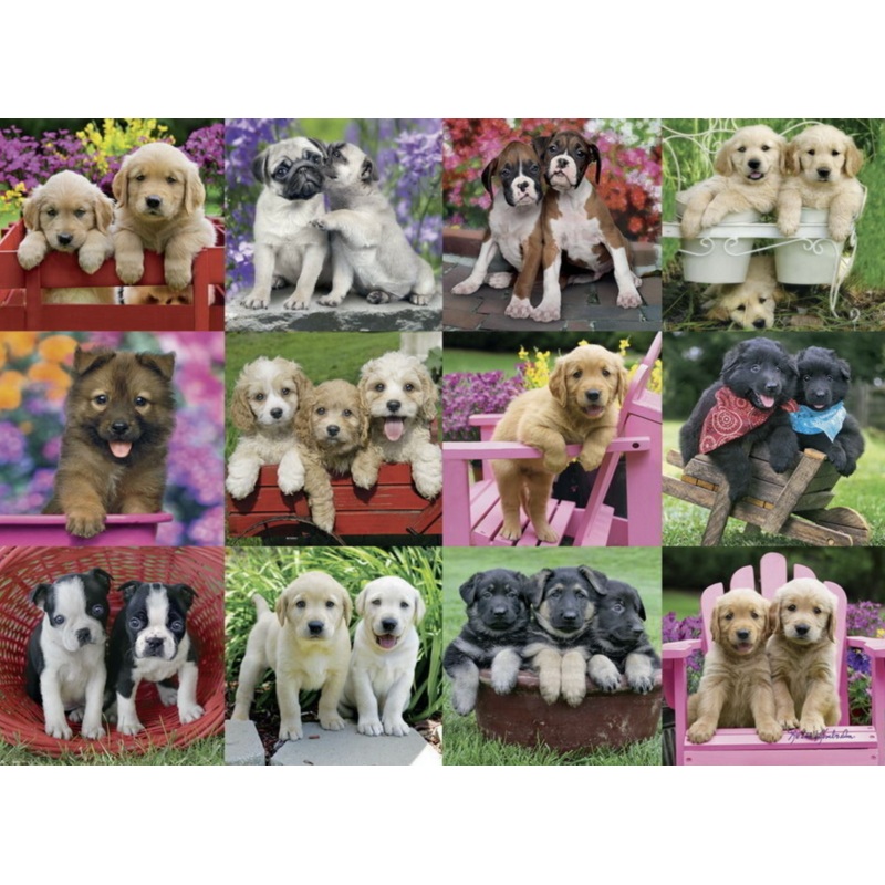 Puppy Pals Puzzle 500 Pce