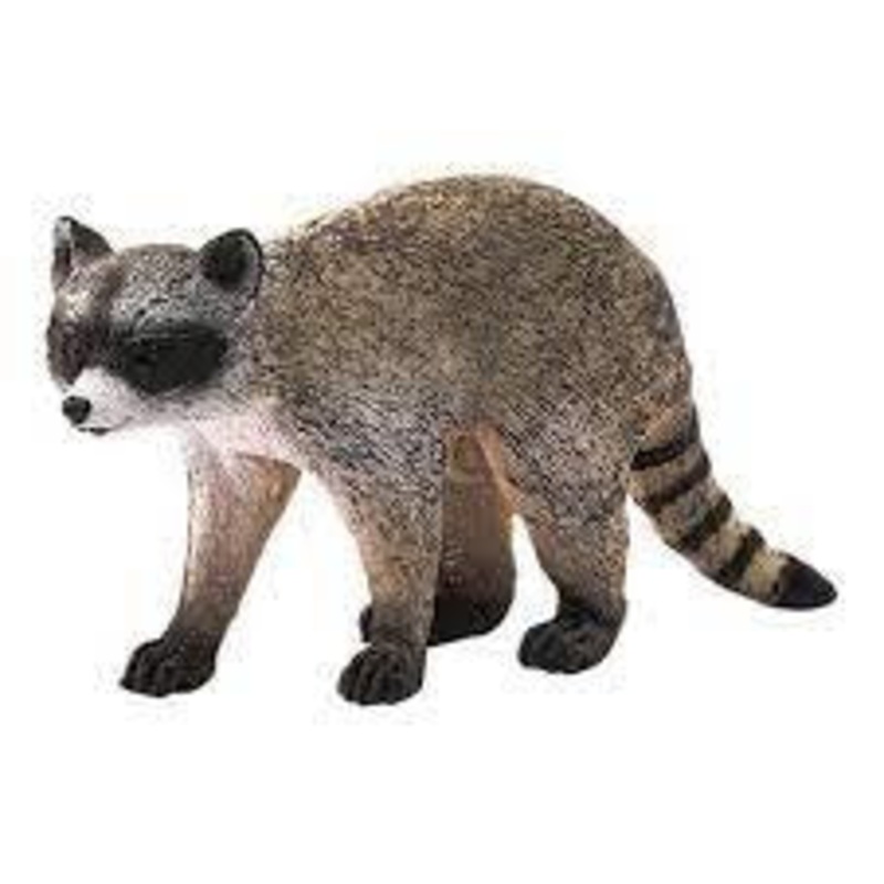 Raccoon 14828