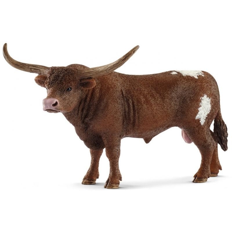 Texas Longhorn Bull 13866