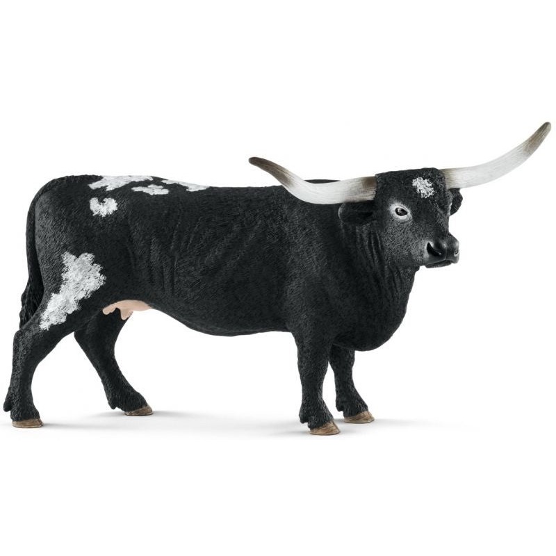 Texas Longhorn Cow 13865
