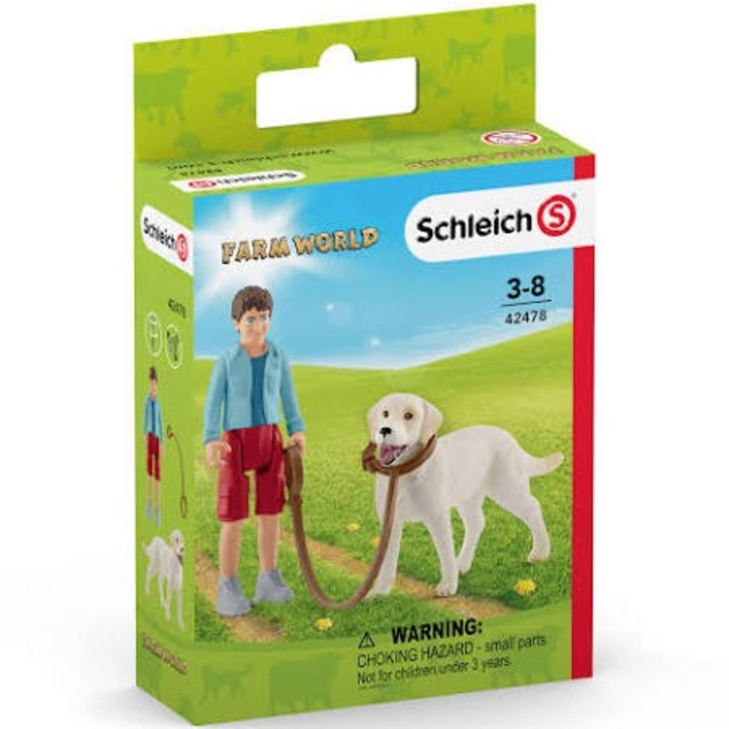 Walking With Labrador Retriever 42478