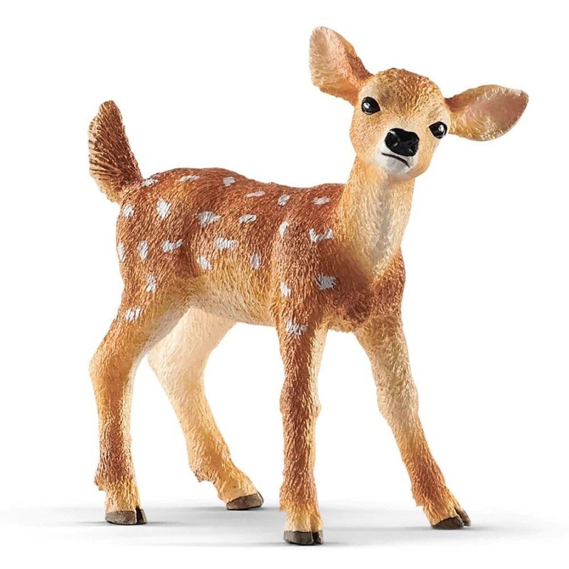 White Tailed Fawn 14820