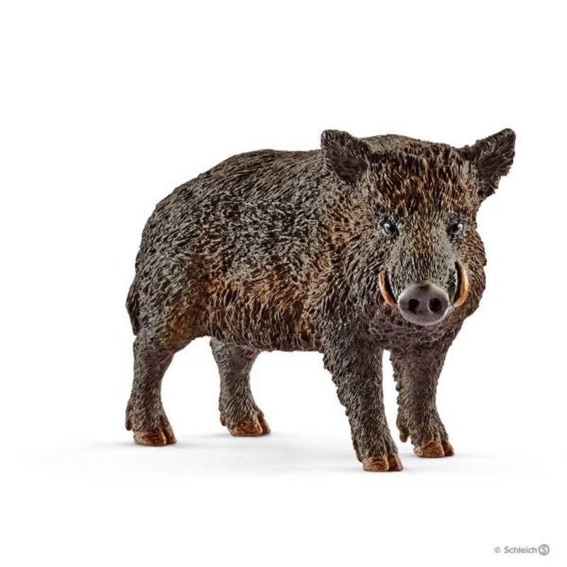 Wild Boar 14783