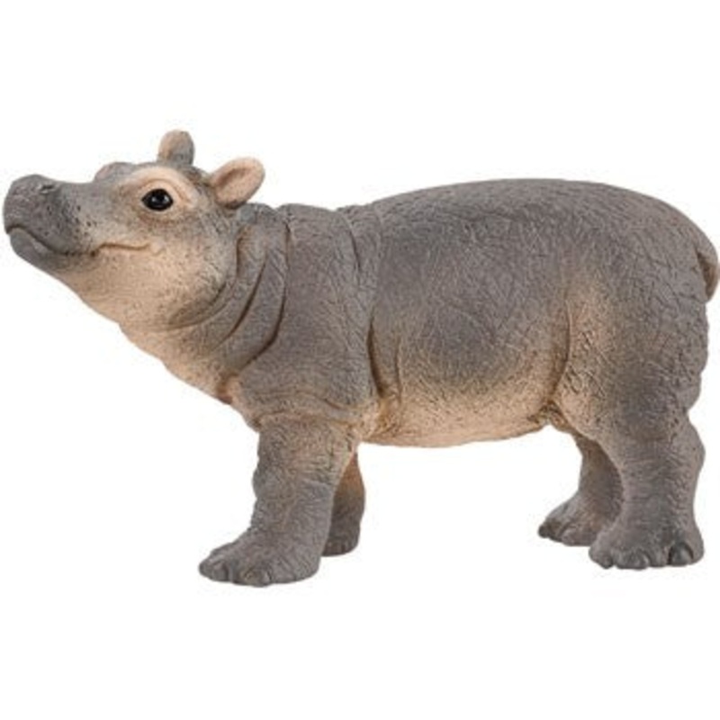 Baby Hippopotamus 14831