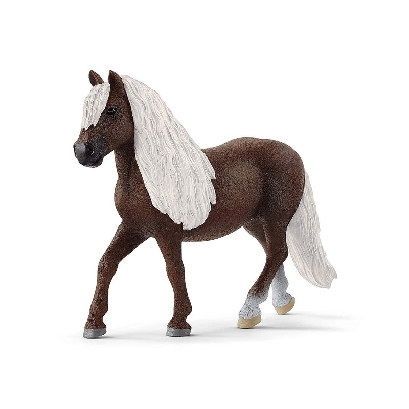 Black Forest Mare 13898