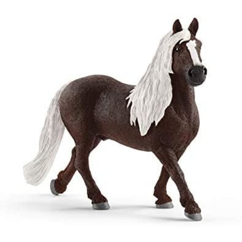 Black Forest Stallion 13897