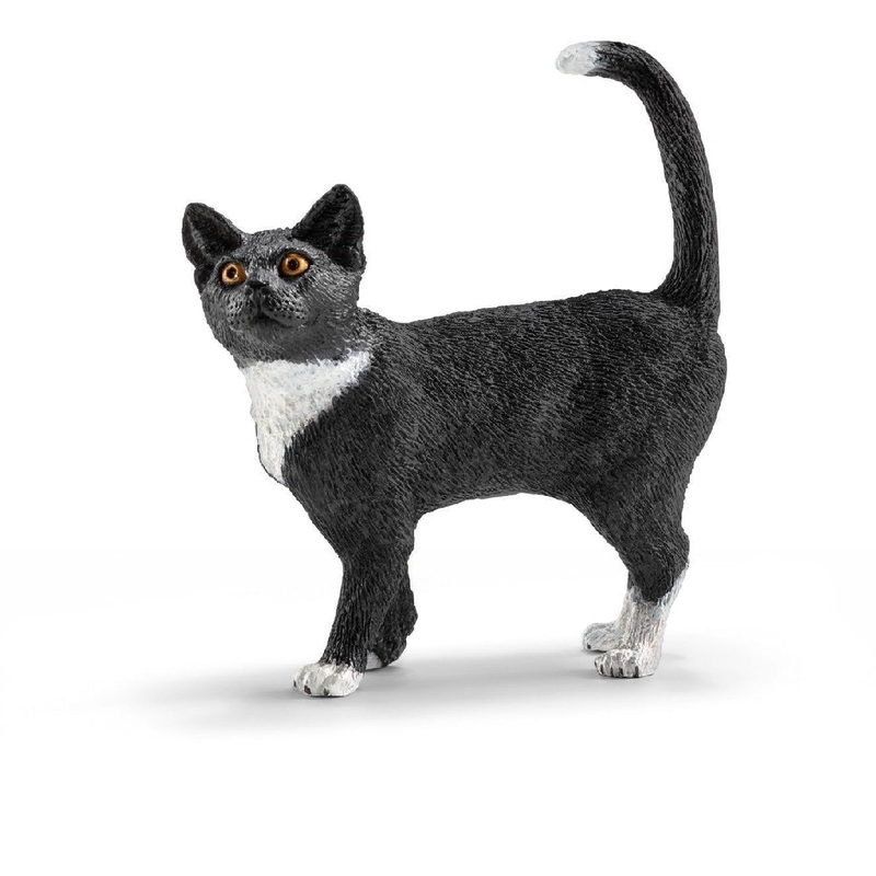 Cat Standing 13770