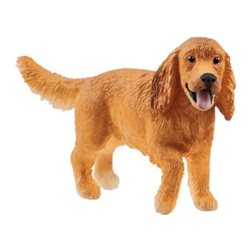 English Cocker Spaniel 13896